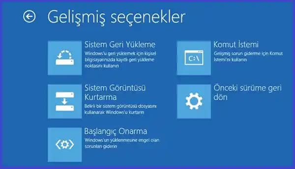 Şifrelenmiş Sürücülere Erişim: BitLocker ve Linux Ortamında Veri Kurtarma Yöntemleri