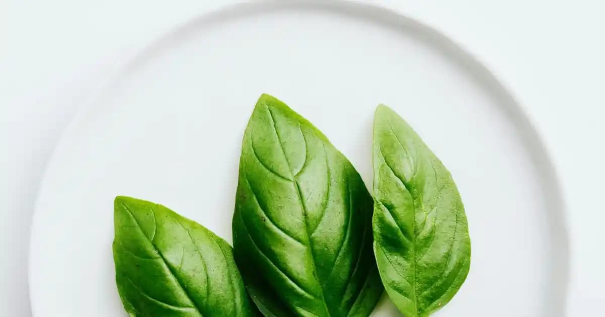 15 Pro Max Özellikleri ve Windows 11 Ses Sorunları İçin Pratik Çözümler