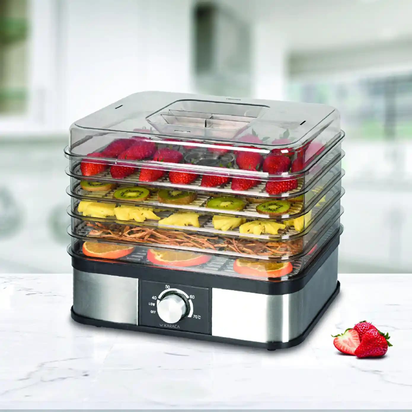 Karaca Meyve Kurutma Makinesi Hakkında Mevcut Bilgi ve Pazar Durumu Analizi