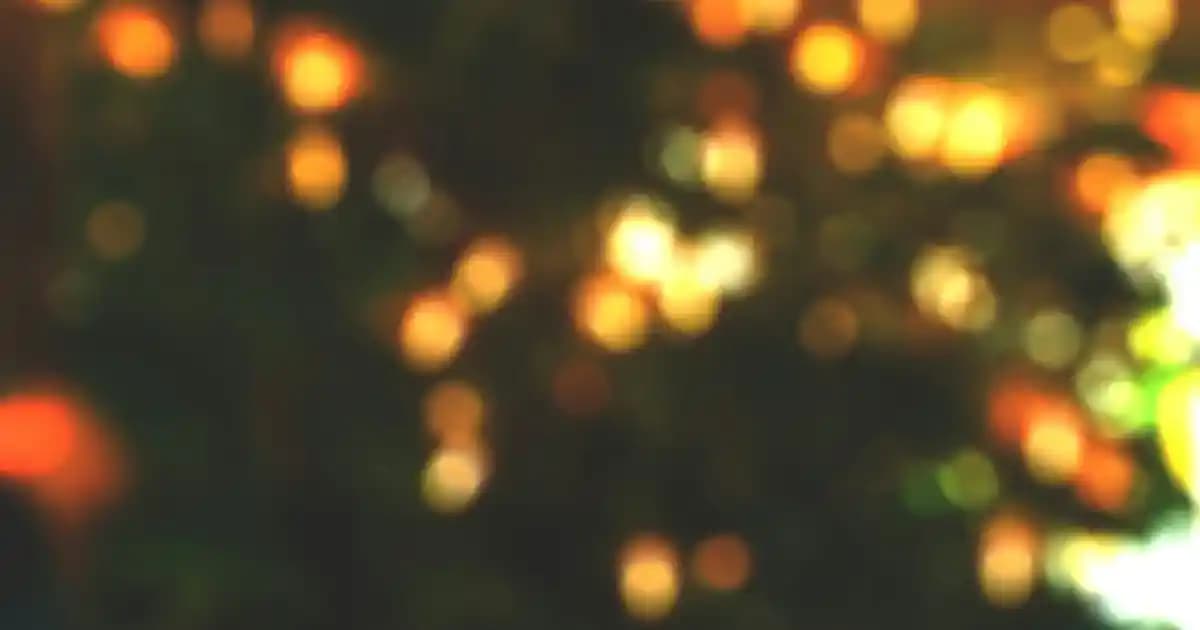 Kiwi Robot Süpürge Hakkında Bilgi Eksikliği ve Genel Değerlendirme