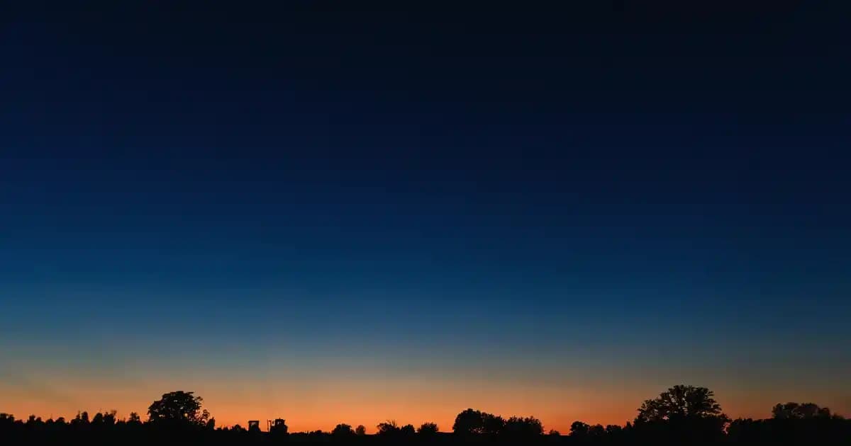Şirket Kültüründe Güven, Şeffaflık ve Katılımın İş Başarısına Etkisi