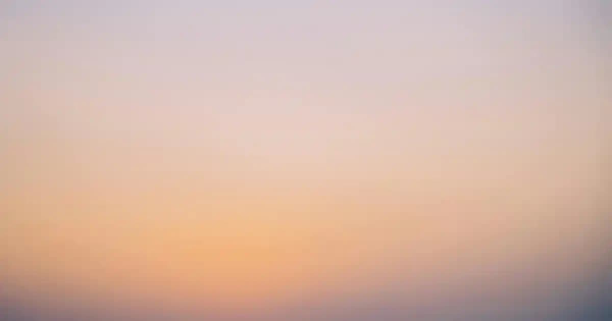 Vestel Akıllı Baskül: Evde Sağlık Takibinde Teknoloji ve Fonksiyonellik