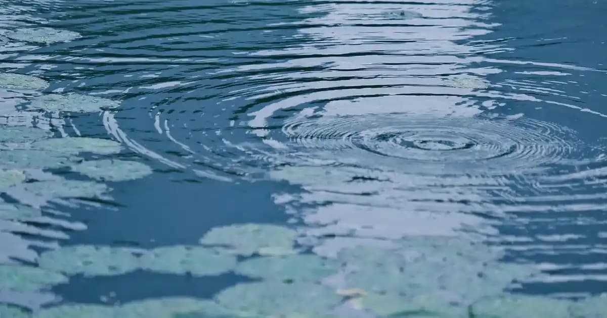 Würth Sentetik Güderi Bez ile Elektronik ve Ev Aletlerinde Hassas Temizlik