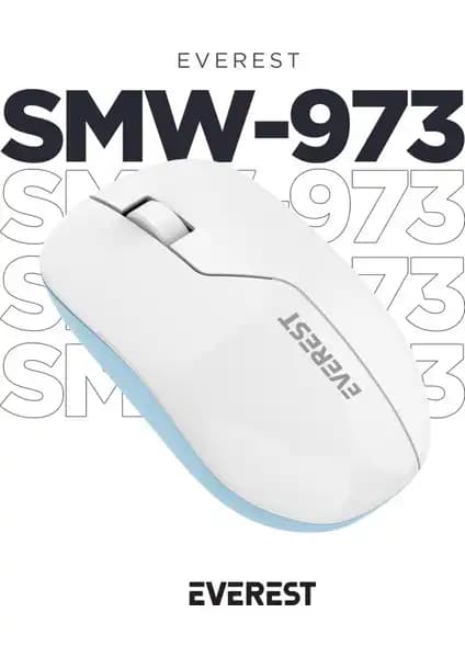 Claw's Pastel ve Everest SMW-973 Kablosuz Mouse Karşılaştırması: Özellikler ve Kullanıcı Yorumları 2