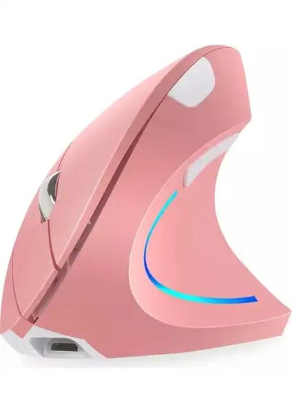 Cloody Dikey Ergonomik Kablosuz Mouse ve Concord C-13 Karşılaştırması 1