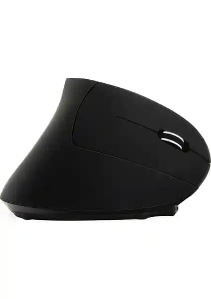 Cloody Dikey Ergonomik ve Concord C-13 Kablosuz Mouse Karşılaştırması 2023