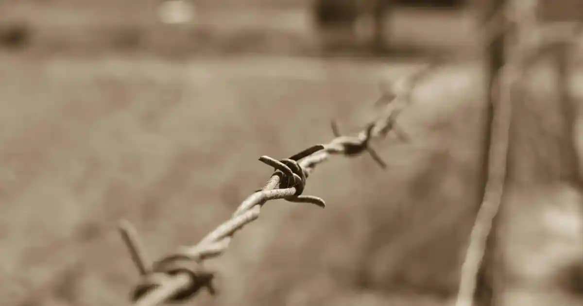 125 cm Ekran TV'nin İnç Karşılığı ve Boyut Analizi Türkiye'de Kullanım Rehberi