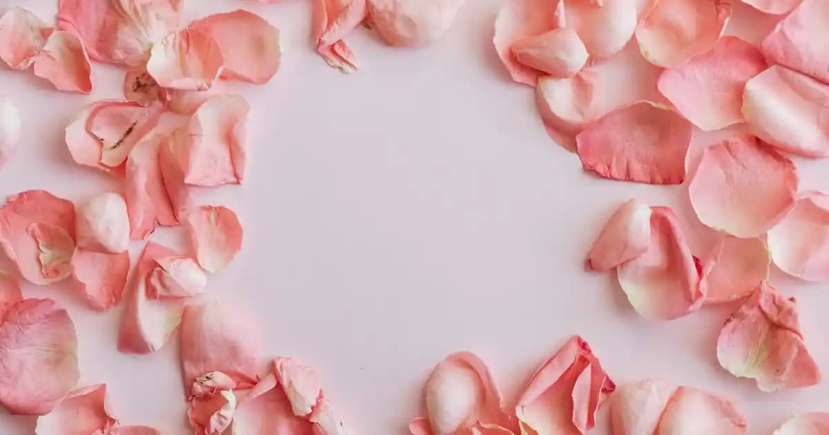 14 Pro Kameraların Gelişmiş Özellikleri ve Mobil Fotoğrafçılıkta Sağladığı İmkanlar