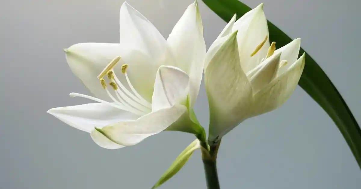 512GB NVMe M.2 SSD ile Yüksek Performans ve Güçlü Depolama Çözümü