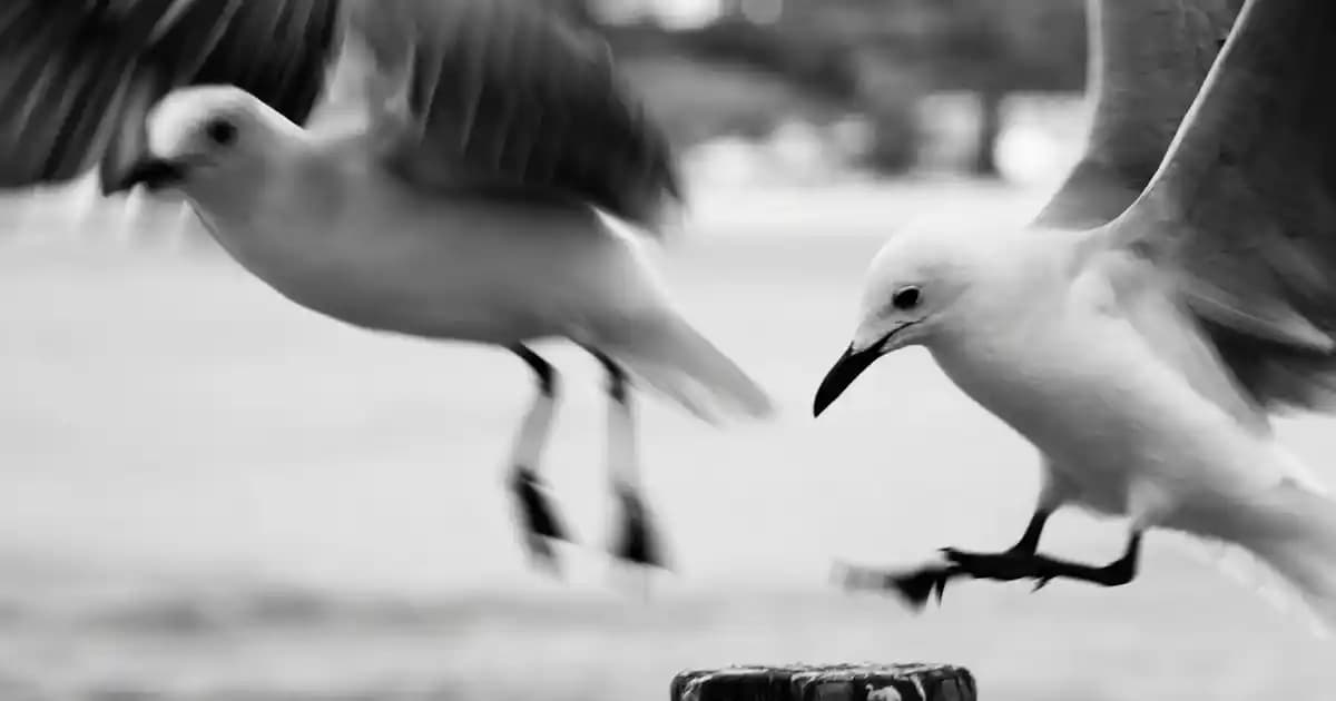 A5 Kağıt Boyutu ve Kullanım Alanları: Ofis, Elektronik ve Tasarım Uygulamaları