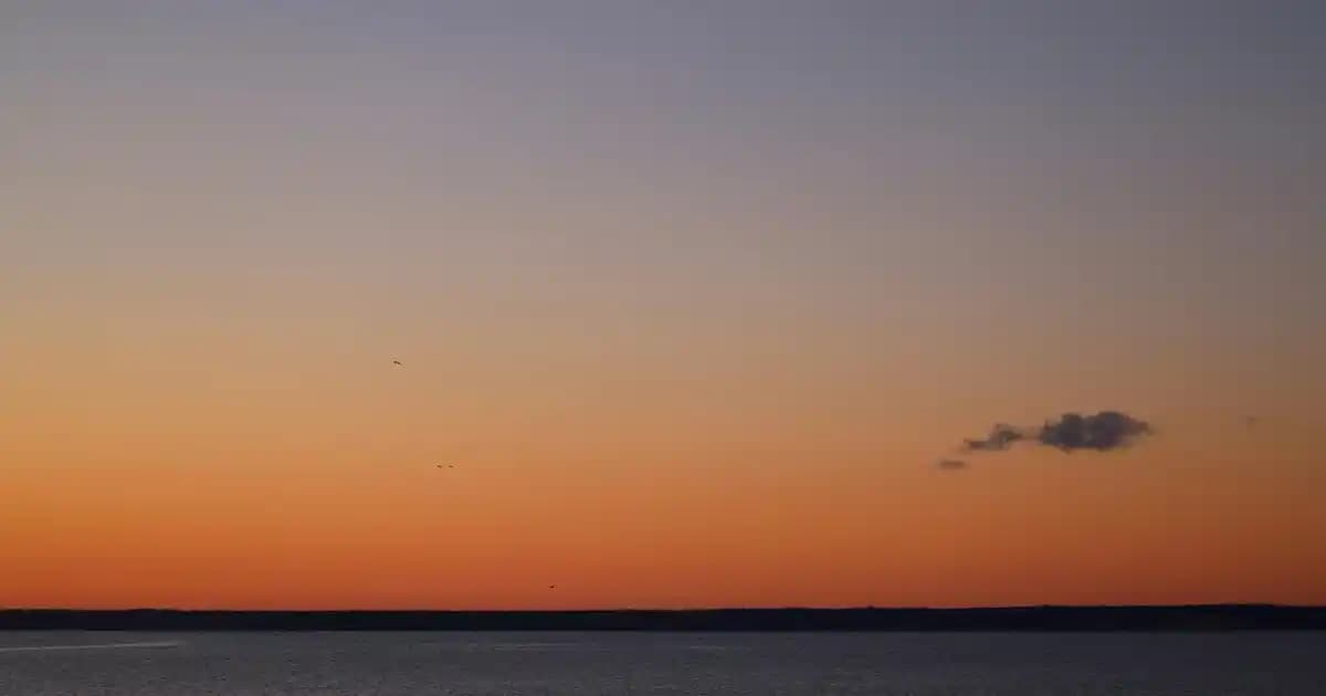 Asus ROG Strix X870E-E Gaming WiFi Anakartı: Yüksek Performans ve Yenilikçi Tasarım