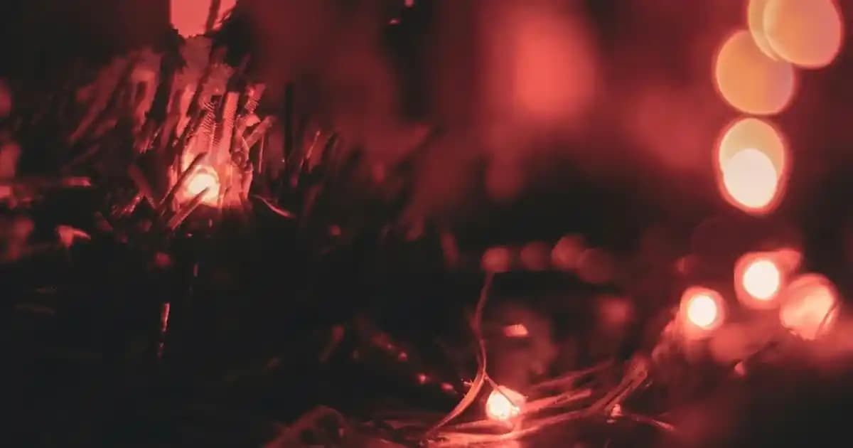 Asus Tabletler: Özellikler, Kullanım İpuçları ve Güncelleme Rehberi