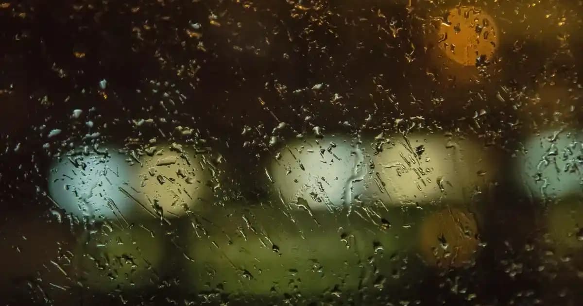 D Harfinin Tarihçesi ve Günümüzdeki Temsili: Dil ve Teknolojideki Rolü