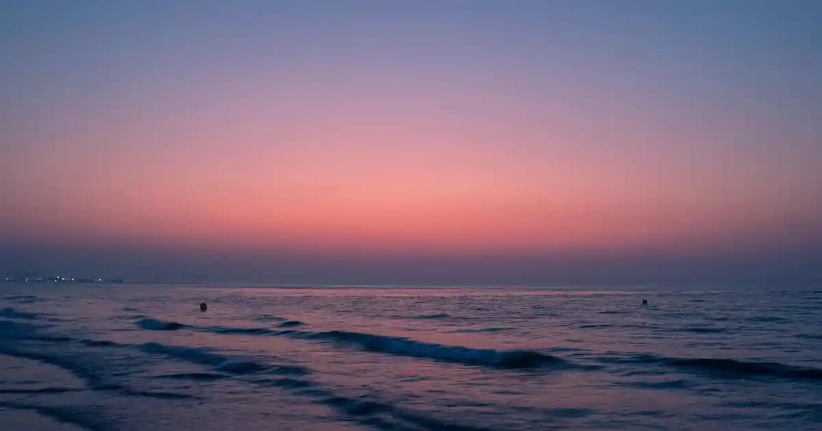 e-CAC Platformunun Güncel Durumu ve Güvenlik Güncellemeleri 2024