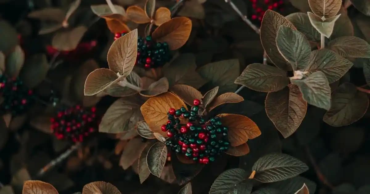 Fritöz Seçiminde Dikkat Edilmesi Gerekenler ve En İyi Modellerin Karşılaştırması