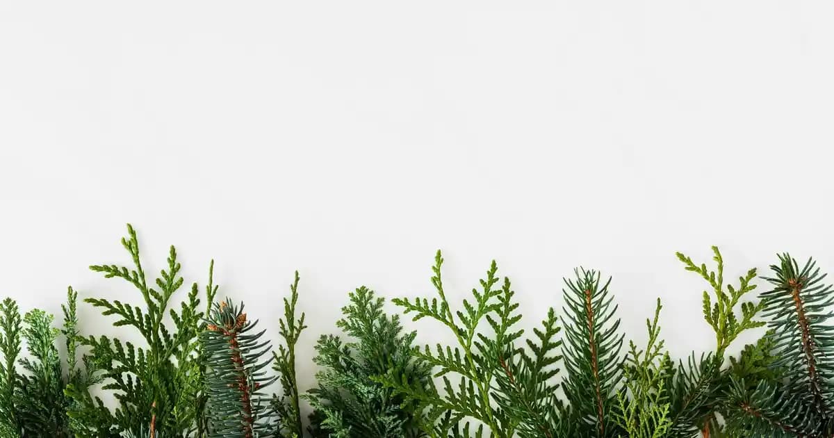 Laptop Batarya Değişimi Rehberi: Uygun Seçim ve Güvenli Değişim Süreci