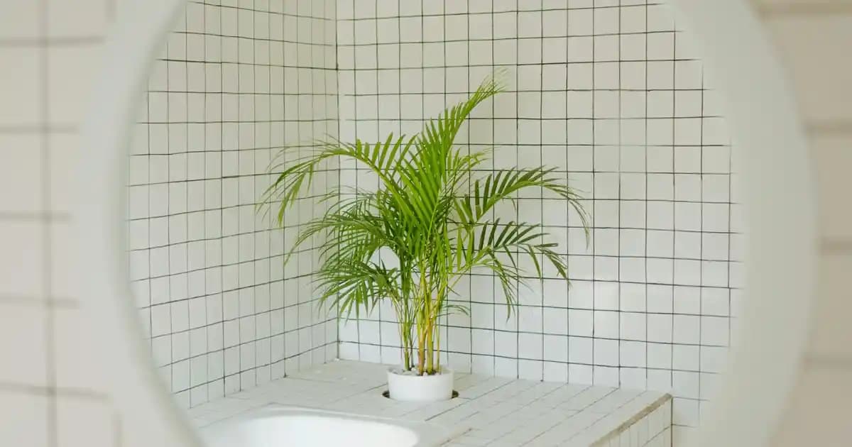 Lenovo Flex Serisi: Esnek ve Çok Yönlü 2-in-1 Dizüstü Bilgisayarlar Özellikleri ve Kullanım Alanları