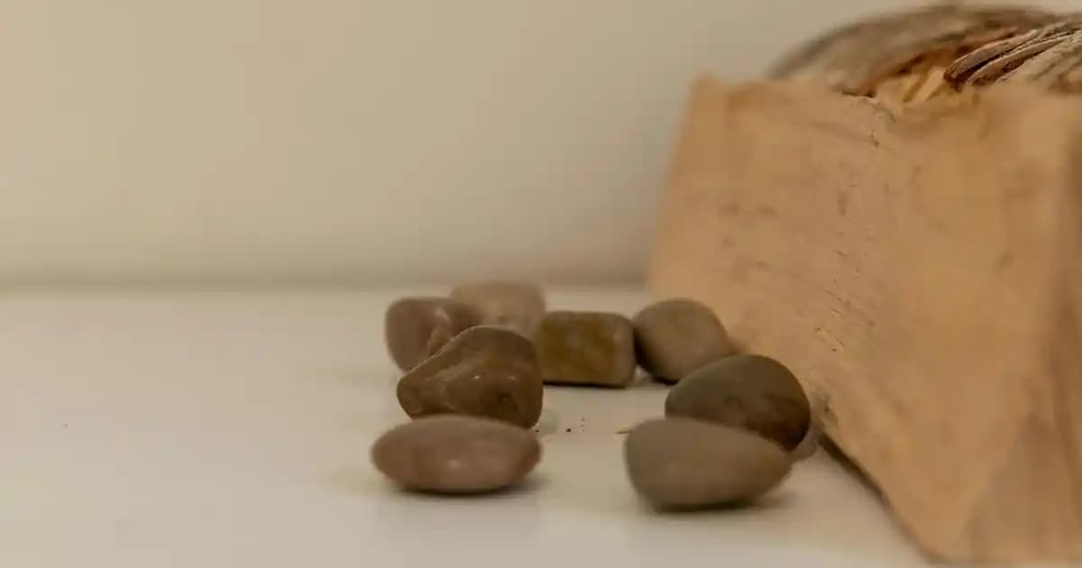 LG 32 İnç Televizyonlar: Güncel Özellikler ve Kullanım Alanları Analizi