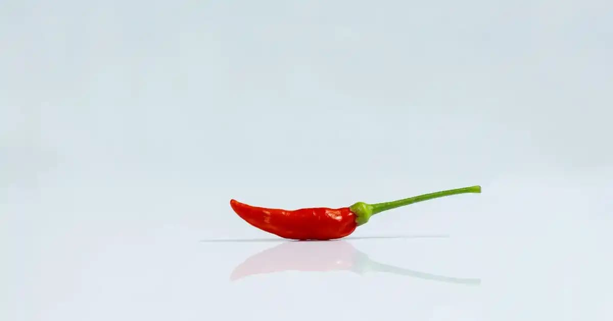 Roborock'un Gelişmiş Haritalama Özellikleriyle Akıllı Ev Temizliği Rehberi