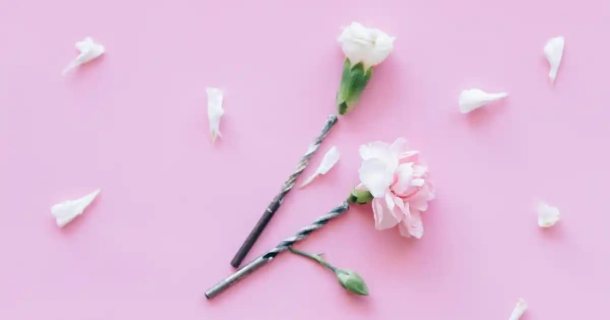 TCL MT40X ve MT42 Modellerinin Teknik Özellikleri ve Piyasa Durumu Analizi