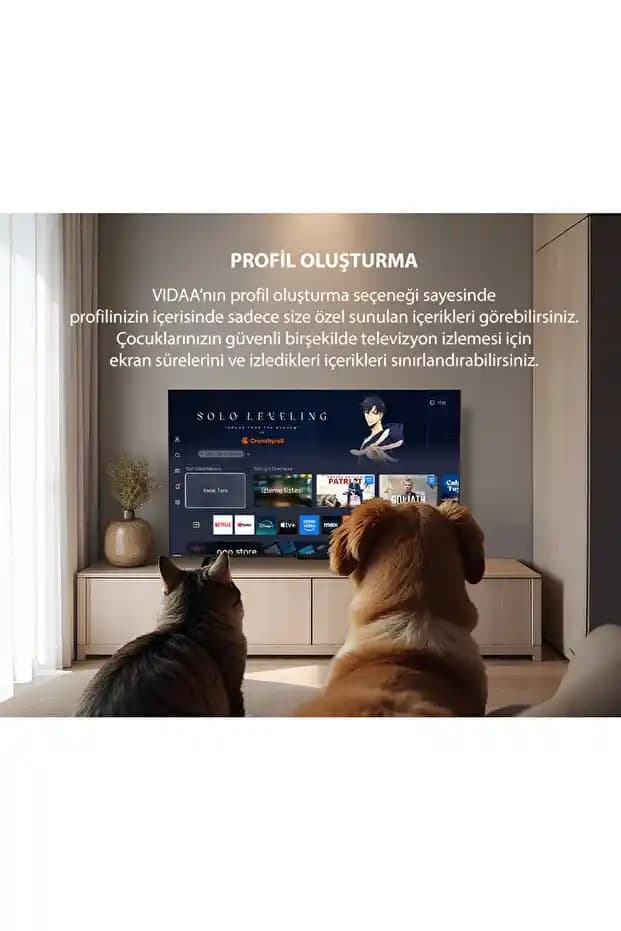 Toshiba 65QV2363DT Modeli Hakkında Genel Bilgi ve Özellikler