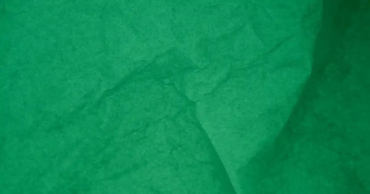 Türkiye'de Dijital Vergi Hizmetleri ve e-CAC Platformunun Güncel Durumu