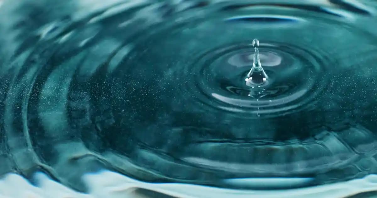 WhatsApp Kullanımı ve Hesap Güvenliği 2025 Güncellemeleriyle En Güncel Yöntemler