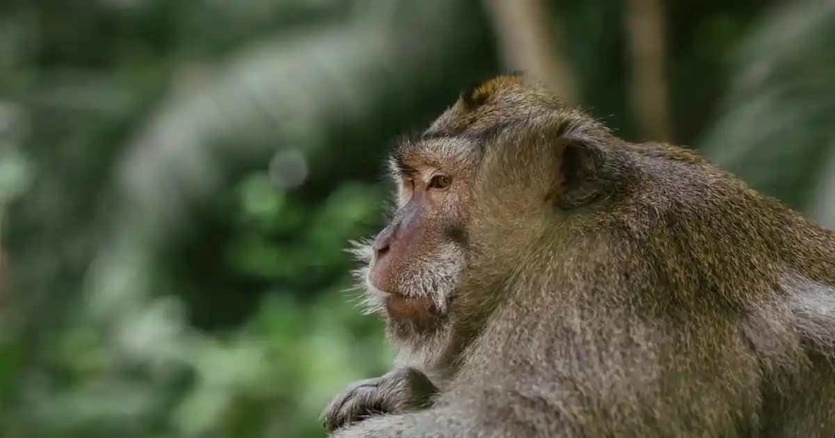 Windsor 65 E 65 LT Elektrikli Termosifon: Enerji Verimli ve Dayanıklı Sıcak Su Çözümü