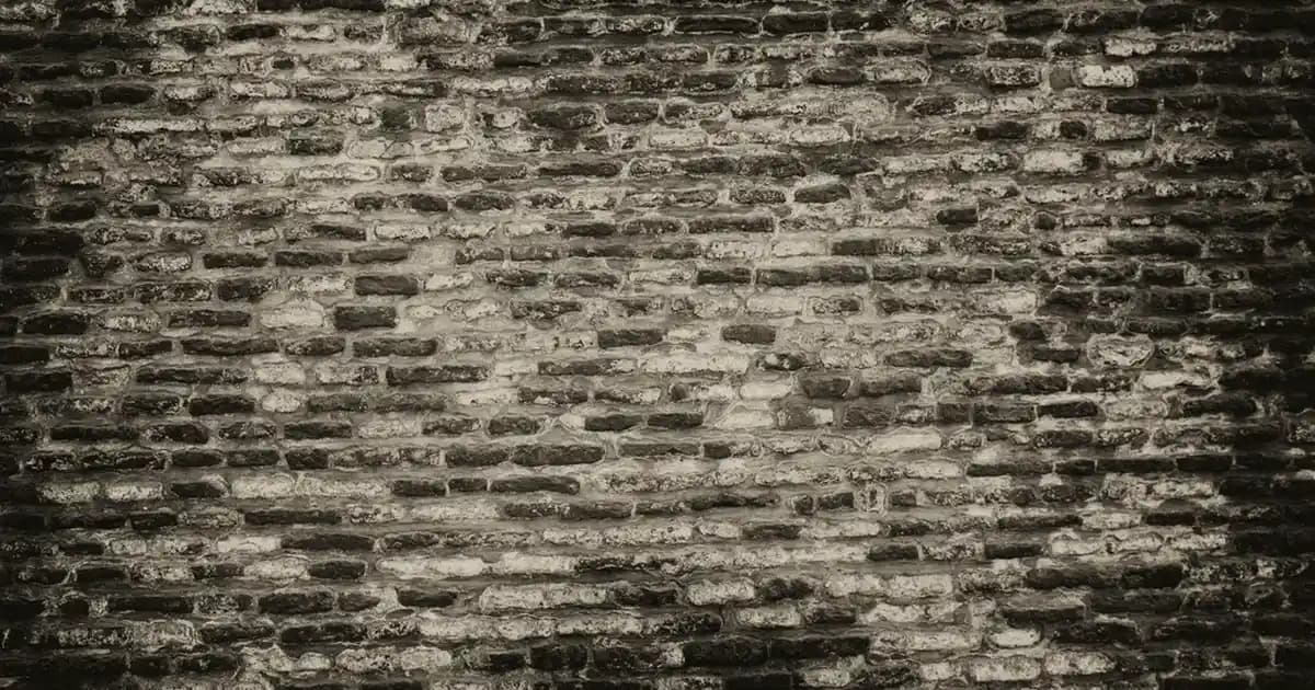 Xerox 6515 WorkCentre Çok Fonksiyonlu Ofis Yazıcısı Özellikleri ve Kullanım Alanları