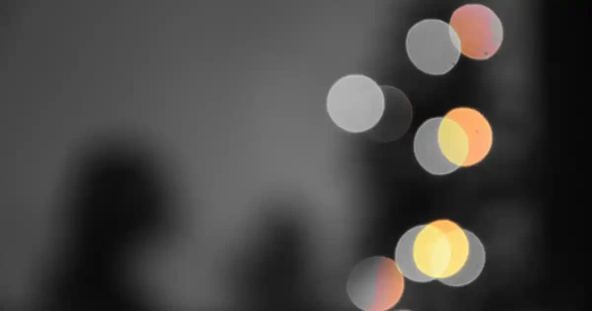 Scheels Mağazaları ve Ürün Yelpazesi: Outdoor ve Spor Malzemeleri Analizi