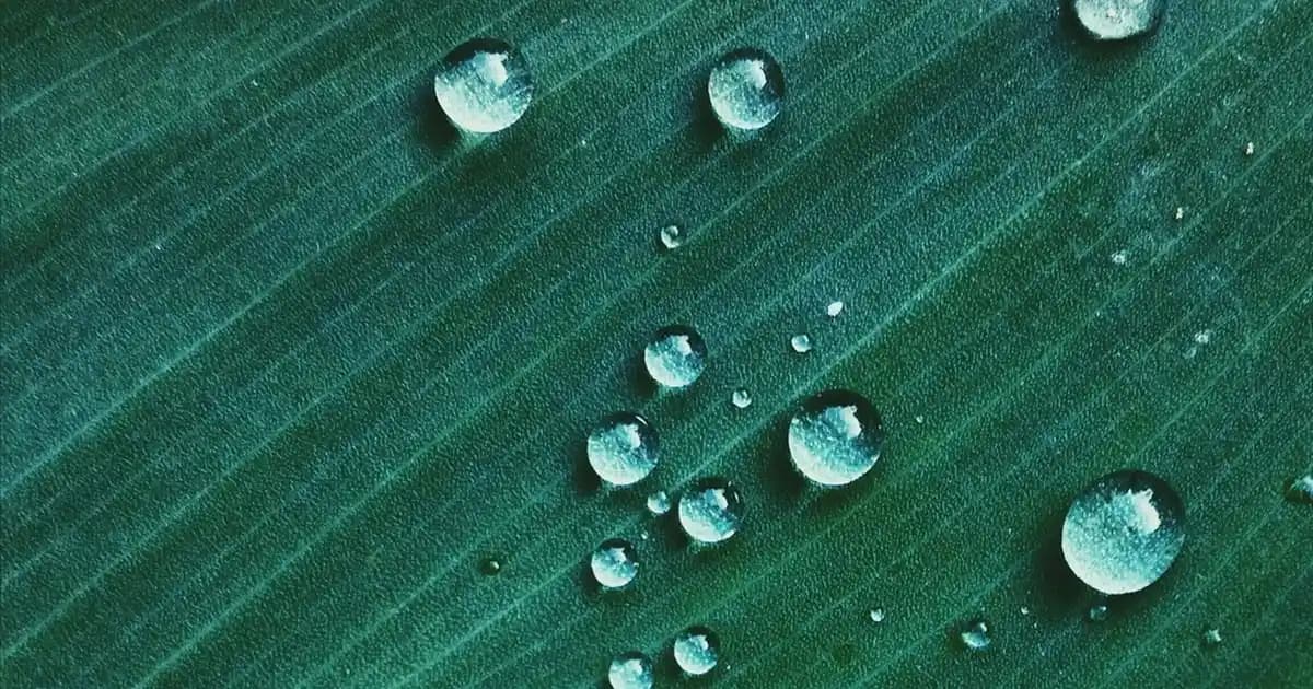 Vestel V Press 2000 Lila Buharlı Jenaratörlü Ütü: Güçlü ve Kullanıcı Dostu Tasarım Özellikleri