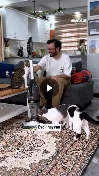 Evcil Hayvan Tüyleri İçin SEBO Felix ve Diğer Elektrikli Süpürgelerin Performans Karşılaştırması