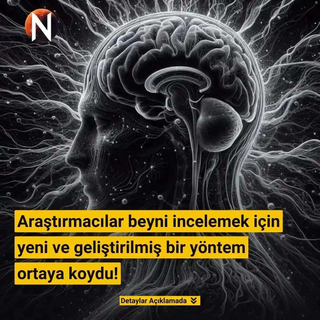 Havadaki Nemden Su Toplayan Yeni Nanomalzeme ve Kapiler Yoğunlaşma İlkeleri