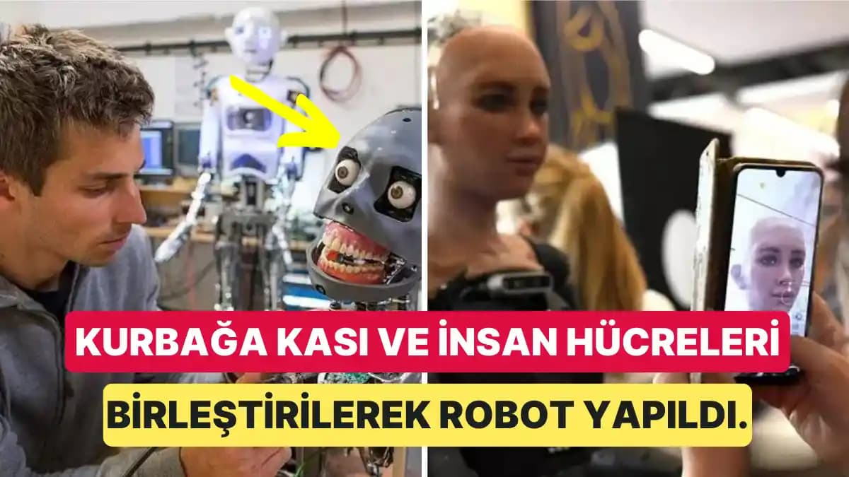 Solucan Benzeri Robotlarla Yeraltı Enerji Hatları Döşeme: Biyomimetik Tasarım ve Uygulamalar