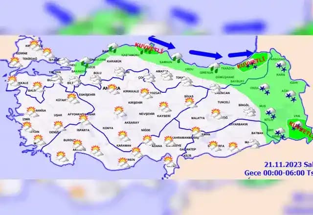 Air Oasis ve IQAir Hava Temizleyicilerinin Küf ve Mikotoksin Filtrasyonundaki Performans Karşılaştırması