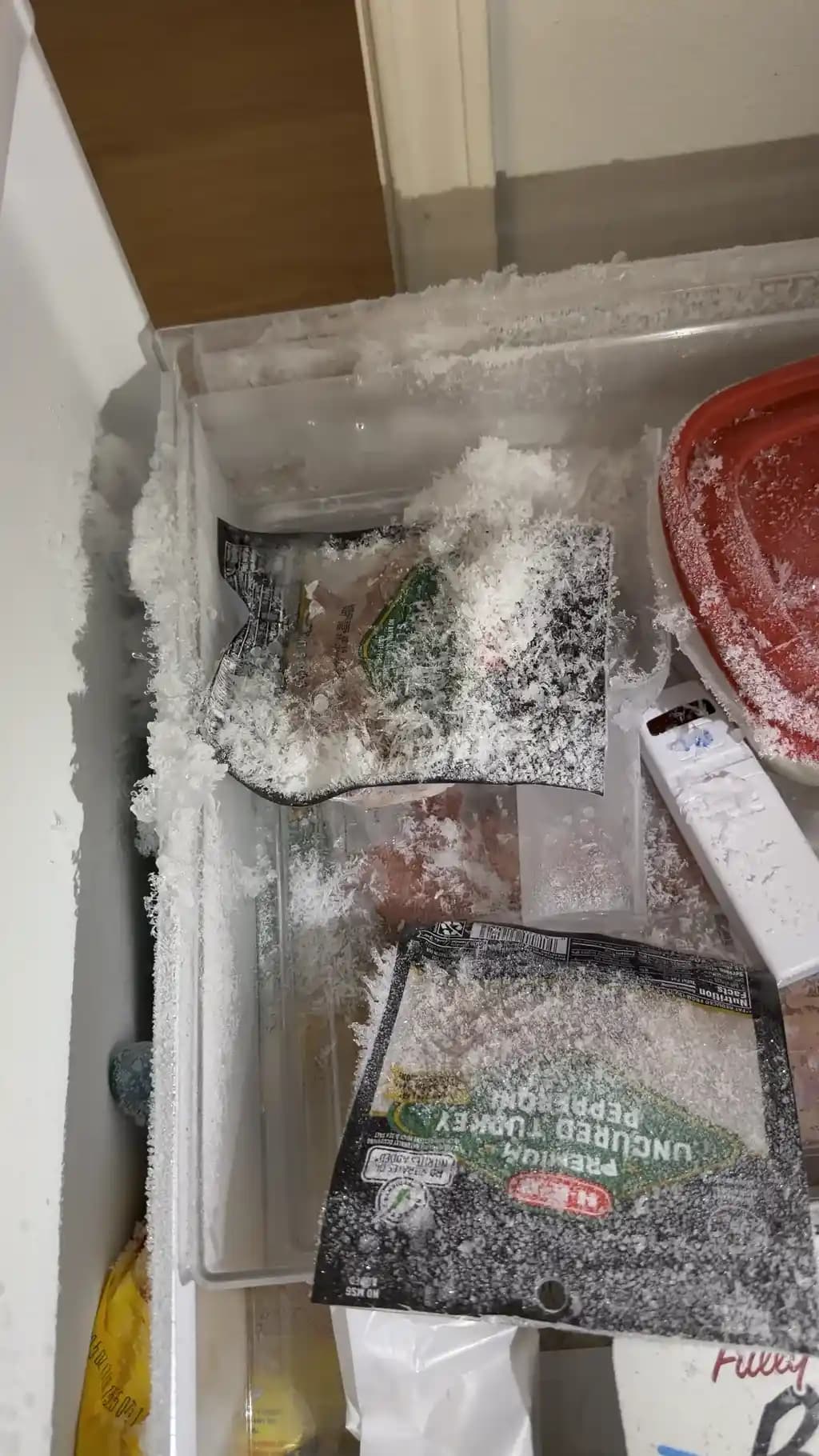 Bosch 800 Serisi Buzdolabında Dondurucu Buzlanma ve Su Birikmesi Sorunlarının Nedenleri ve Çözümleri