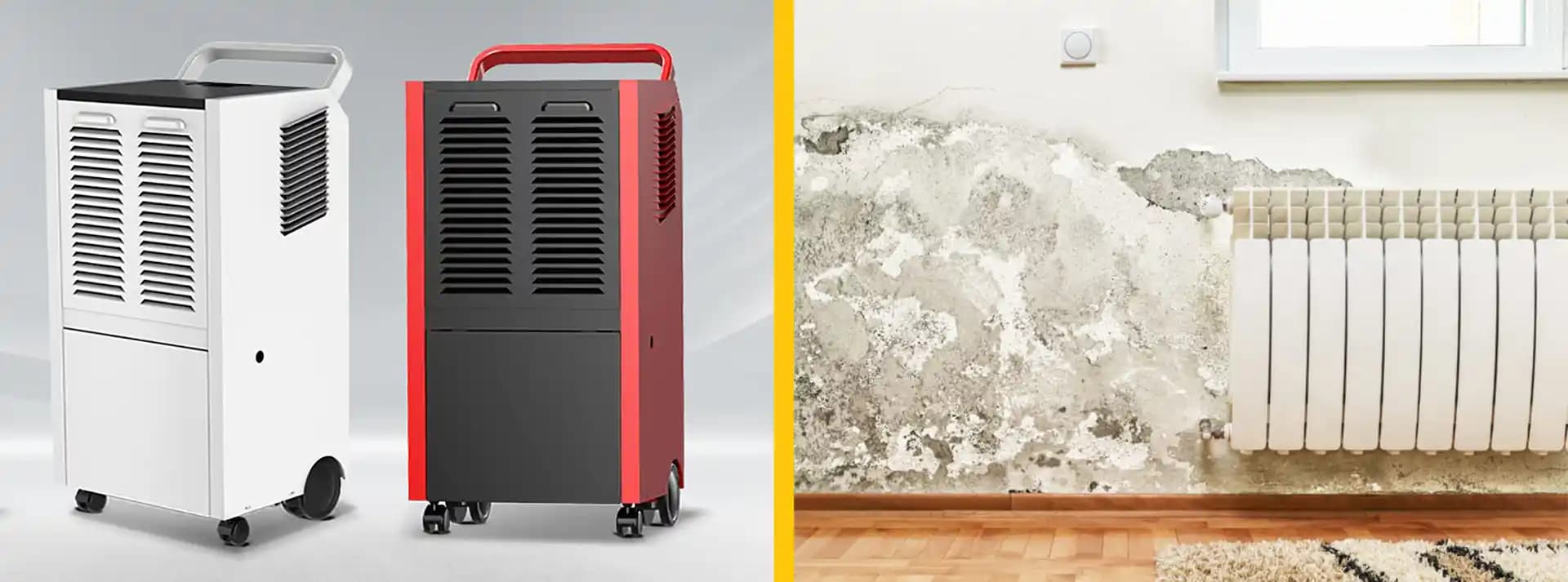 Meaco, EBAC, Pro Breeze ve DeLonghi Nem Alma Cihazlarının Üretim, Garanti ve Performans Karşılaştırması