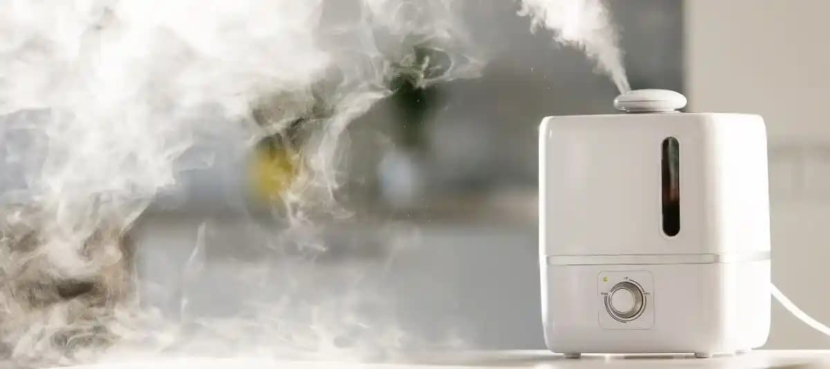 Nemlendiricilerde Su Kalitesi ve Tiplerinin Ev Havası Kalitesi Üzerindeki Etkileri