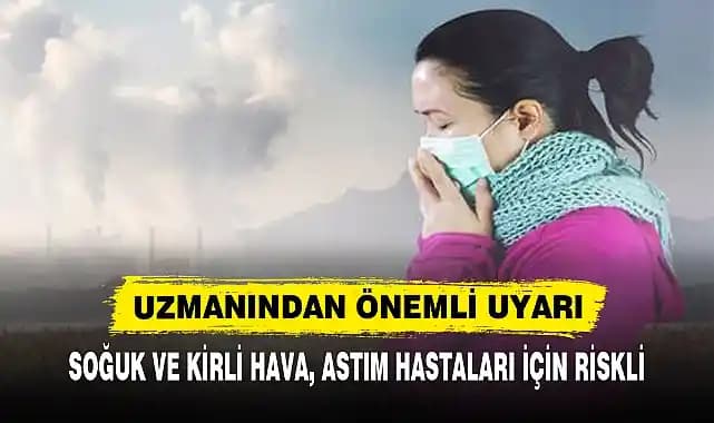 Şehir Dairesi İçin Uygun Fiyatlı Hava Temizleyici Seçim Kriterleri ve Öneriler