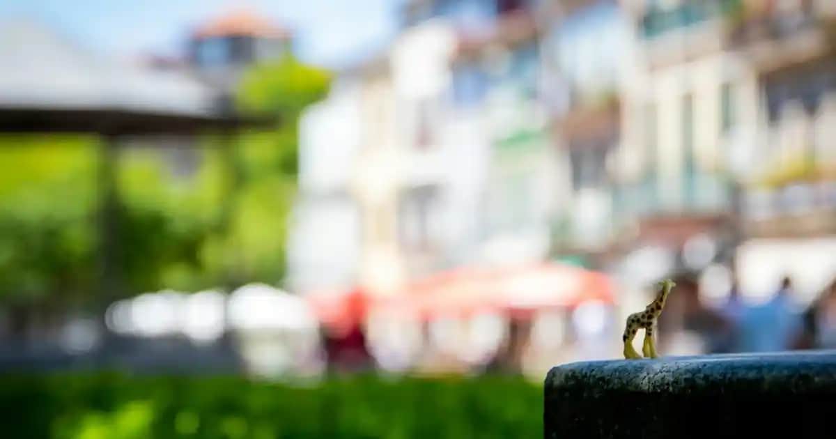 ASUS ROG Strix G15: Yüksek Performanslı Oyun ve Çok Yönlü Kullanım İçin Tasarlanmış Dizüstü Bilgisayar