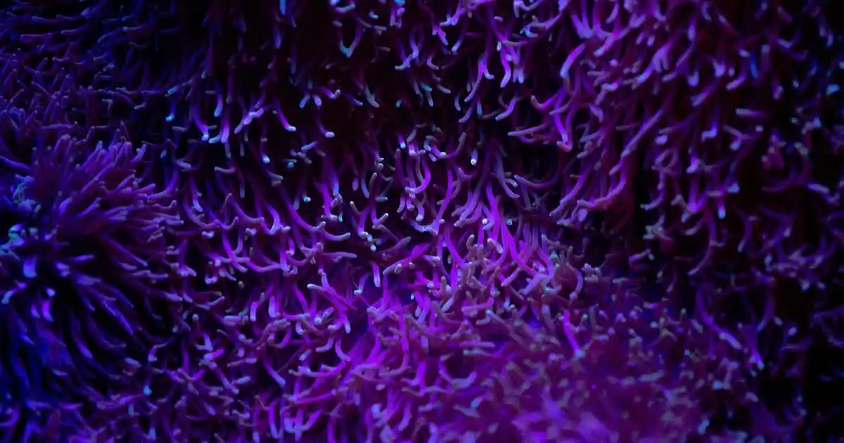 Banyo LED Lambaları ile Modern, Enerji Verimli ve Güvenli Aydınlatma Çözümleri