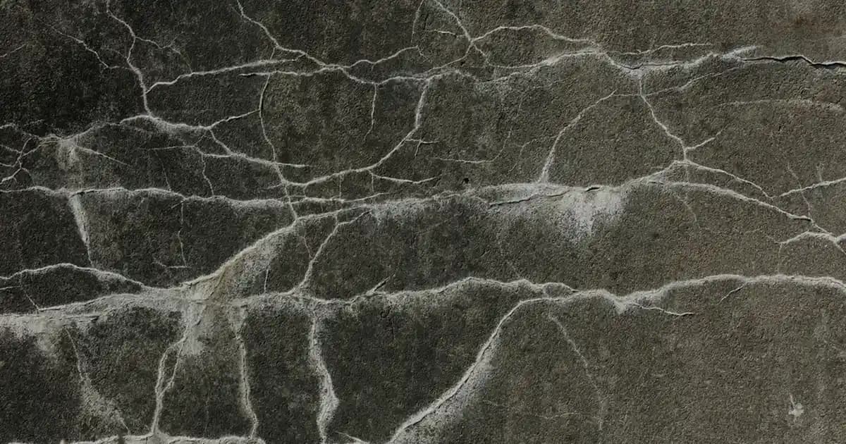 DJI Mini SE İncelemesi: Hafif ve Uygun Fiyatlı Drone Modeli Özellikleri ve Kullanım Alanları