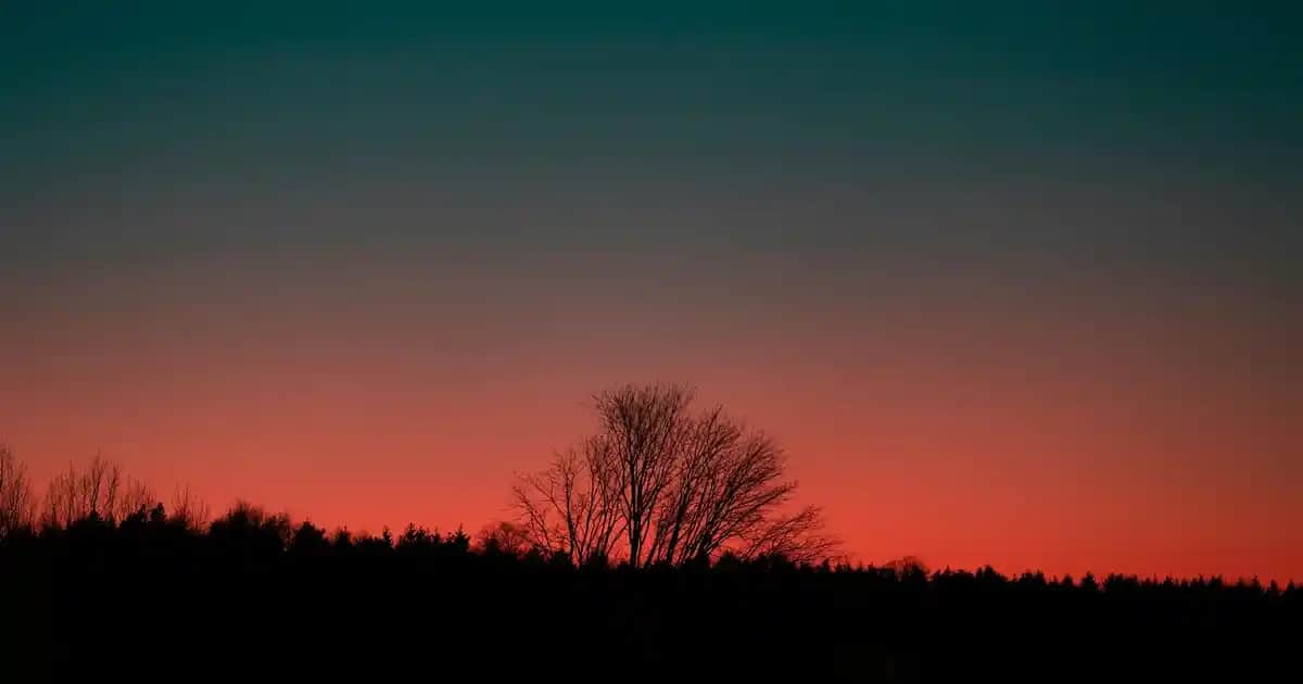 Elektronik Dünyasında Güncel ve Güvenilir Ürünlerle Modern Yaşamın Anahtarı