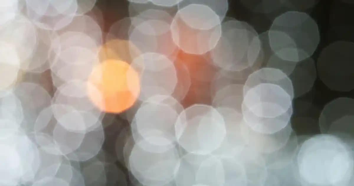 Elektronik Entegre Evcil Hayvan Taşıma Çantaları: Güvenlik ve Konforun Yenilikçi Çözümleri