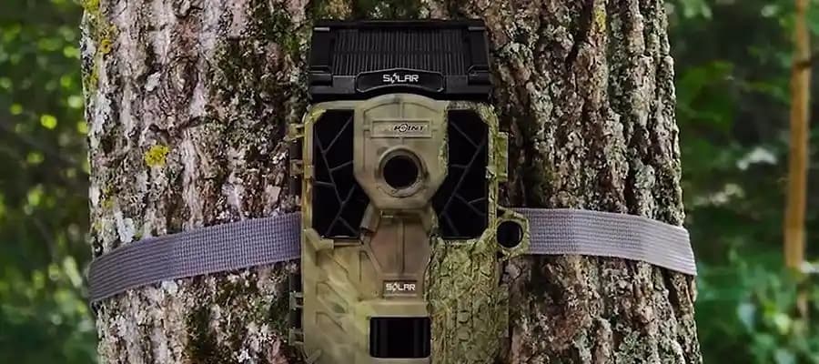 Fotokapan Nedir ve Elektronik Dünyasında Kullanım Alanları Hakkında Detaylı Bilgi