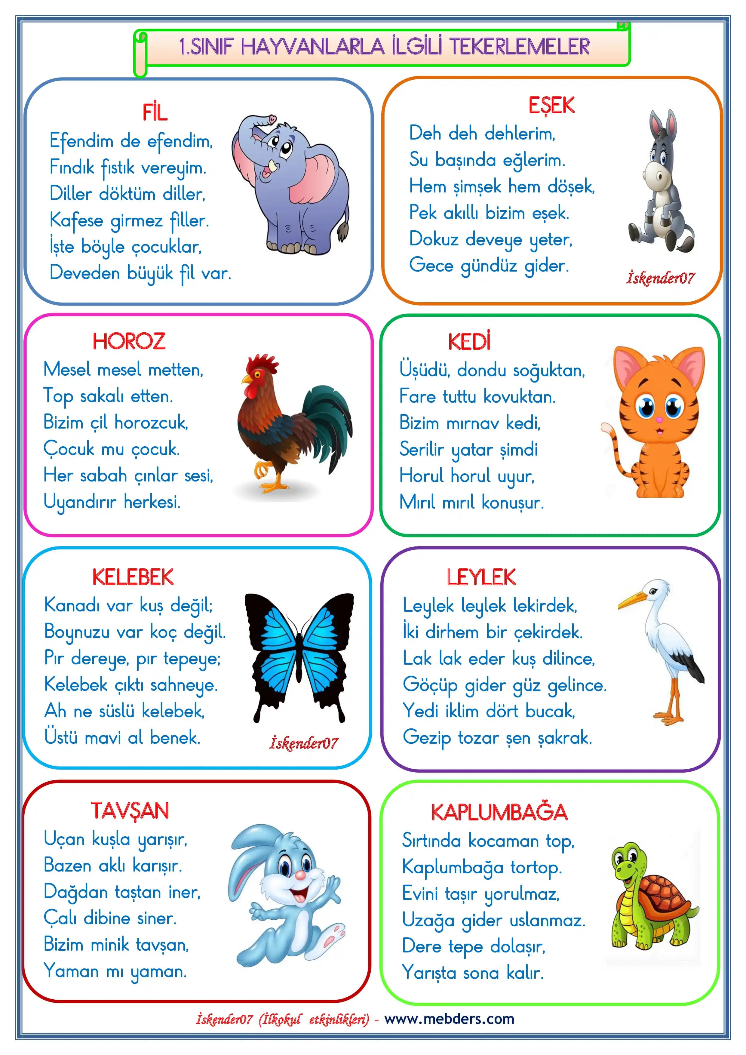 Hayvanlarla Konuşma Uygulamaları: Teknolojinin Hayvan İletişiminde Getirdiği Yenilikler