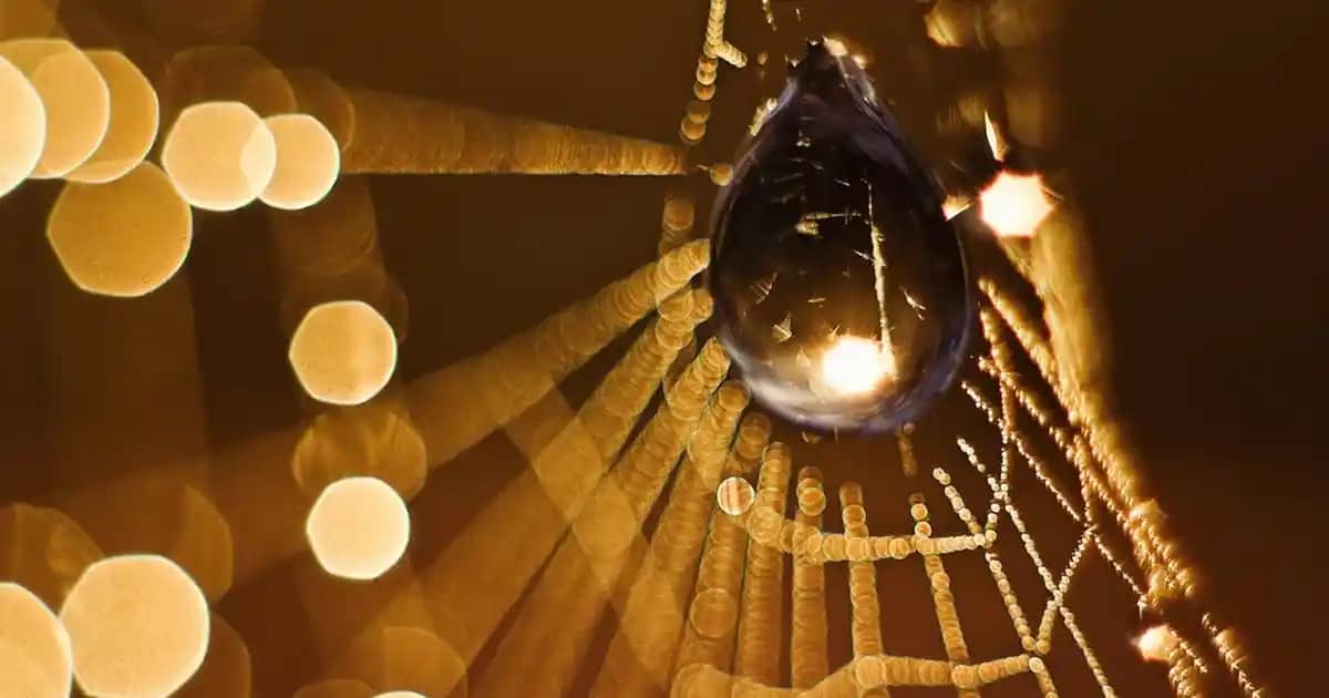 İkili Şarjlı Diş Fırçası Nedir ve En Popüler Modeller Nelerdir