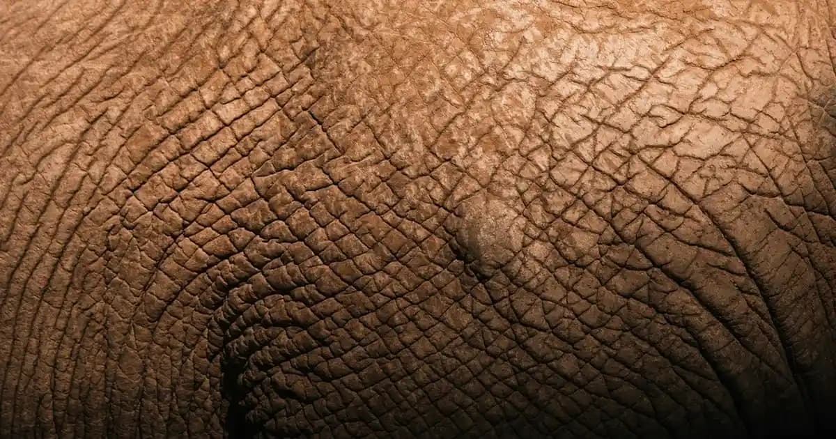 Inox Buzdolabları: Modern Mutfakların Şıklık ve Dayanıklılık Simgesi