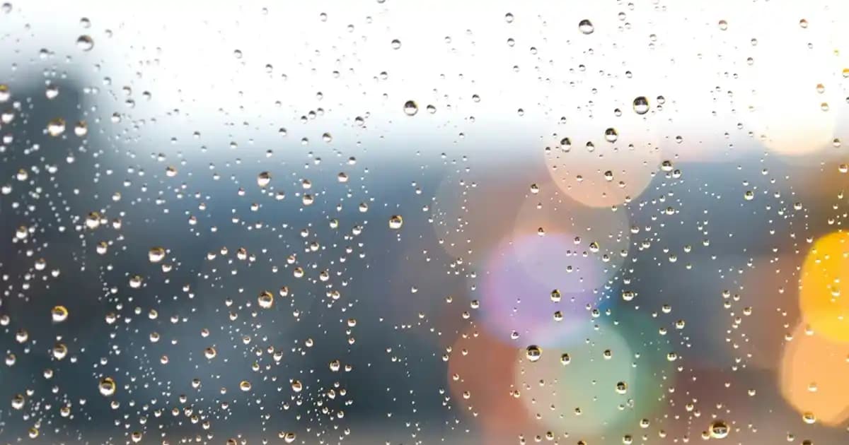 Polaroid Filmi Nedir ve Günümüzdeki Kullanım Alanlarıyla Öne Çıkan Özellikleri