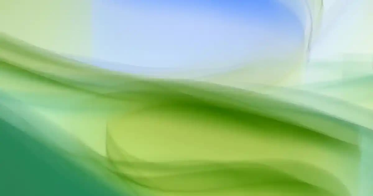 Taşınabilir Harddiskler: Güvenilir ve Pratik Veri Depolama Çözümleri